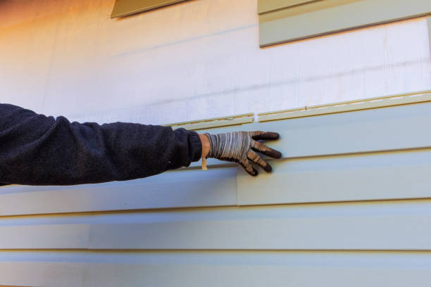 Best Custom Siding Design  in Lemmon, SD